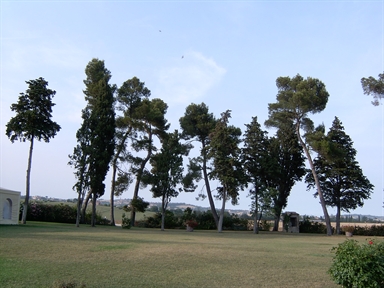 Parco di Villa S. Nicolino