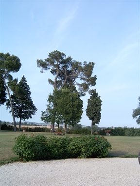 Parco di Villa S. Nicolino