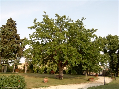 Parco di Villa S. Nicolino