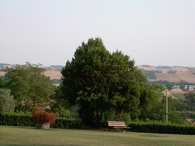 Parco di Villa S. Nicolino