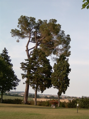 Parco di Villa S. Nicolino