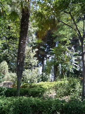 Parco di Villa Antonella