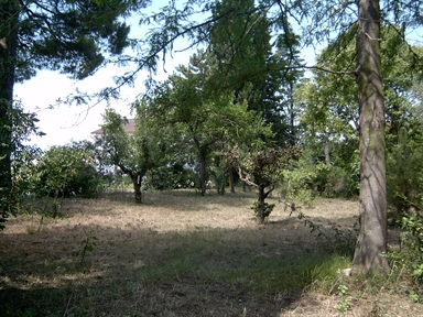 Parco di Villa Antonella