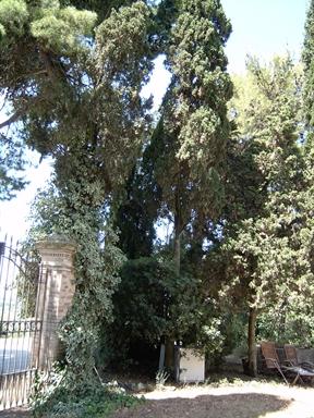 Parco di Villa Antonella