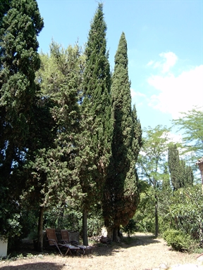 Parco di Villa Antonella
