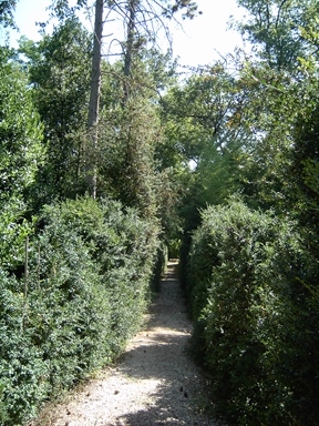 Parco di Villa Lazzarini