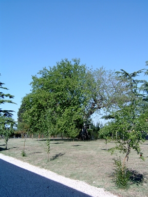 Parco di Villa Lazzarini