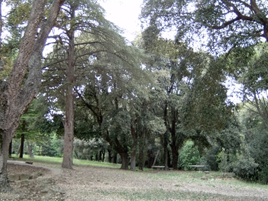 Parco di Palazzo Rosso