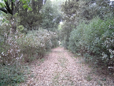 Parco di Palazzo Rosso