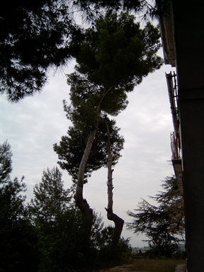 Parco di Villino Solanelli
