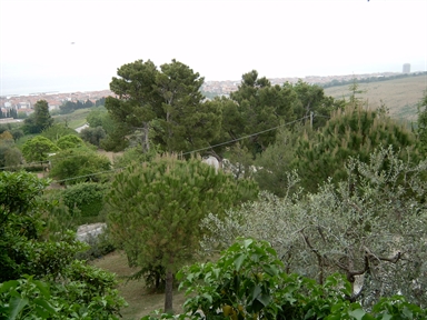 Parco di Villino Solanelli