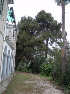 Parco di Villino Solanelli