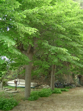 Parco di Villino Solanelli