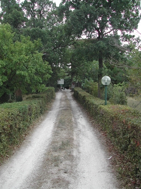 Giardino di Villa Monnece