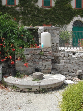 Giardino di Villa Monnece