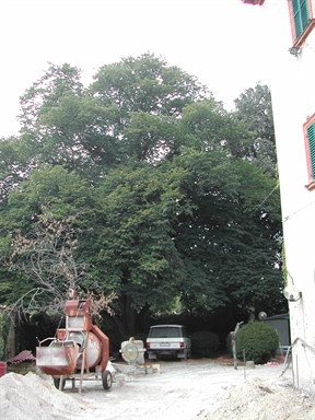Giardino di Villa Monnece