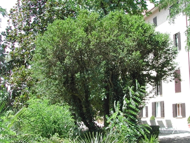 Parco di Villa Perozzi