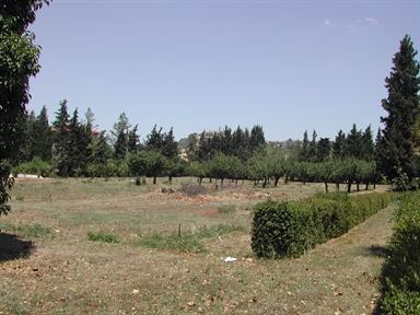 Parco di Villa Perozzi