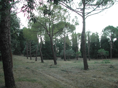 Parco di Villa Due Pini