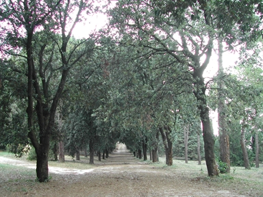 Parco di Villa Due Pini