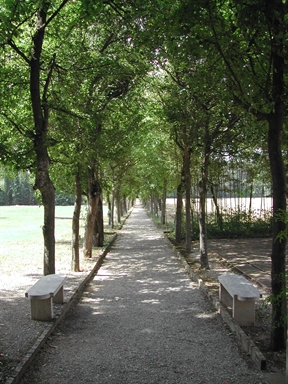 Parco di Villa Koch