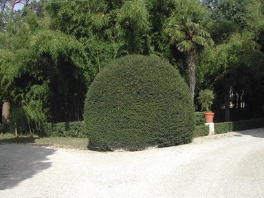 Parco di Villa Koch