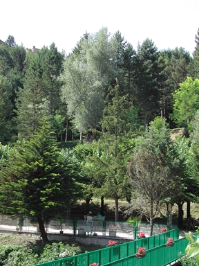 Parco delle Fonti di S. Giacomo