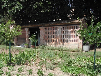 Giardino di Villa Irene