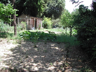 Giardino di Villa Irene