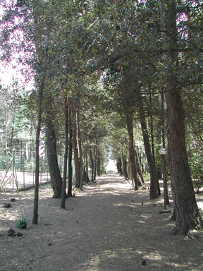 Parco di Villa Magnalbò