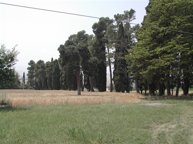 Parco di Villa Ruspoli