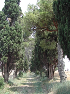 Parco di Villa Ruspoli