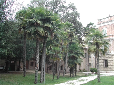 Giardino del Palazzo Bandini