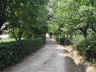 Giardino di Villa Cecchi