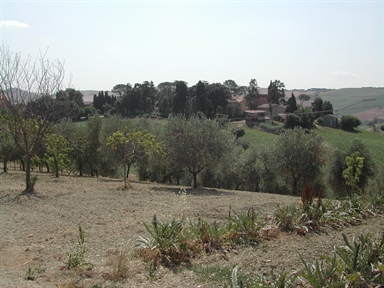 Parco di Villa Ciccolini