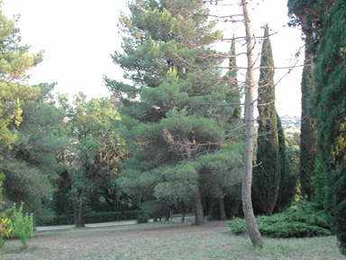 Parco di Villa Compagnucci-Compagnoni