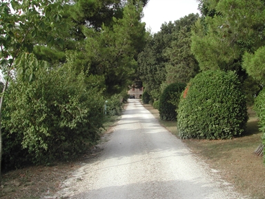 Parco di Villa Pantaleoni
