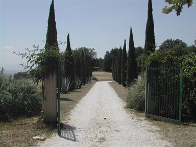 Parco di Villa Ariani