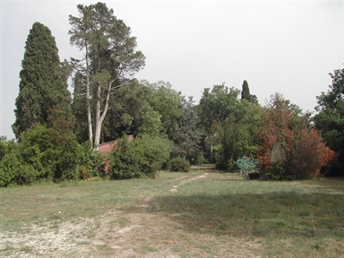 Parco di Villa Ricci