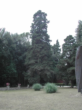 Parco di Villa Lauri