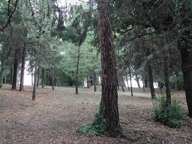 Parco di Villa Cantagallo