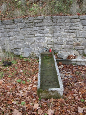 Fonte del Pantano, Massaprofoglio, Muccia, MC - Fonte orale: Terapeutica, Sorgente