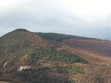 Madonna di Collevento, Coda di Muccia, Muccia, MC - Fonte orale: Religiosa, Chiesa