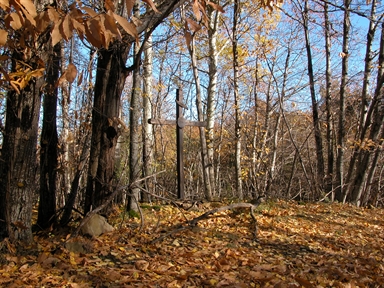 Monte san Savino-Croce, Roccamaia, Pievebovigliana, MC - Fonte orale: Religiosa, Ciclo dell´anno