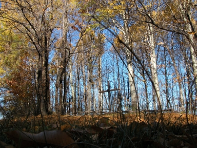 Monte san Savino-Croce, Roccamaia, Pievebovigliana, MC - Fonte orale: Religiosa, Ciclo dell´anno