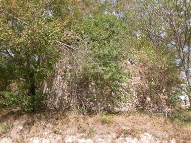 san Gregorio, Terro, Sarnano, MC - Fonte orale: Religiosa, Ciclo dell´anno