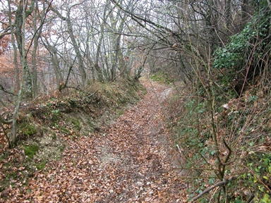 Edicola di Maestà, Agolla, Sefro, MC - Fonte orale: Religiosa, Ciclo dell´anno