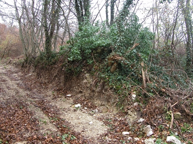 Edicola di Maestà, Agolla, Sefro, MC - Fonte orale: Religiosa, Ciclo dell´anno