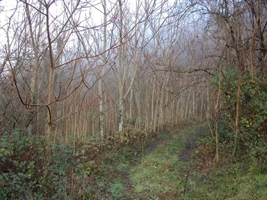 Maraone, Agolla, Sefro, MC - Fonte orale: Luoghi dell'Immaginario, Paura