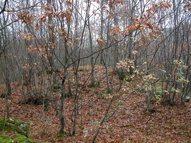 San Paolo, Cerreto, Sefro, MC - Fonte orale: Civile, Insediamento